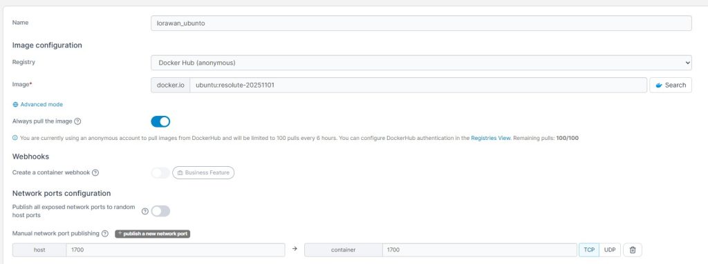Portainer basic settings for the new container Image and Port